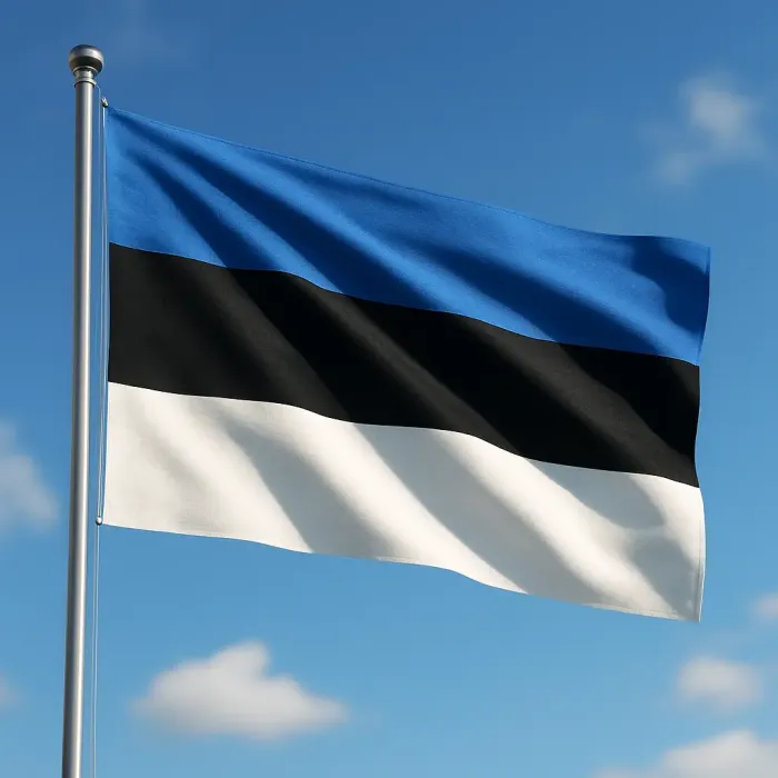 Jobs in Estonia – A 2025 Guide for English-Speaking Professionals and Employers